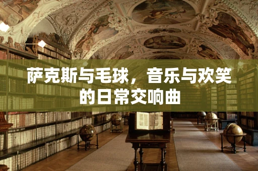 萨克斯与毛球，音乐与欢笑的日常交响曲