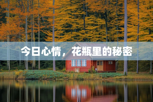 今日心情，花瓶里的秘密