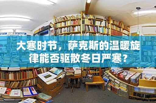 大寒时节，萨克斯的温暖旋律能否驱散冬日严寒？