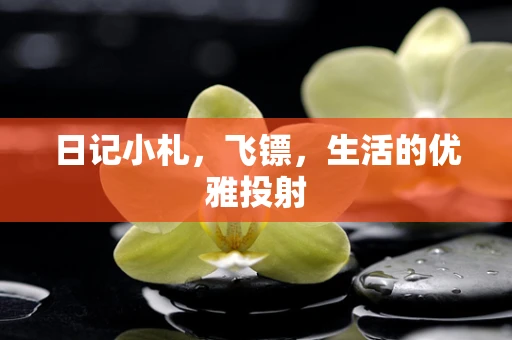 日记小札，飞镖，生活的优雅投射