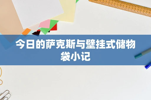 今日的萨克斯与壁挂式储物袋小记