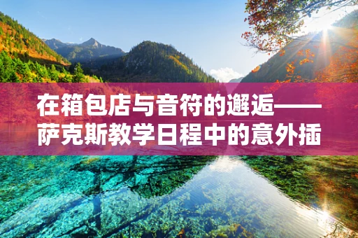 在箱包店与音符的邂逅——萨克斯教学日程中的意外插曲