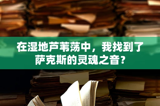 在湿地芦苇荡中，我找到了萨克斯的灵魂之音？