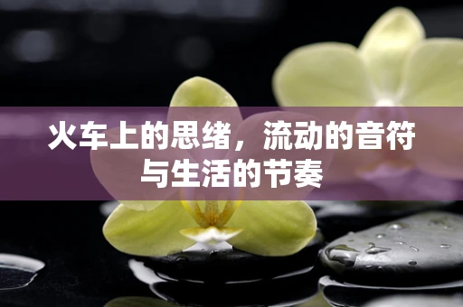 火车上的思绪，流动的音符与生活的节奏