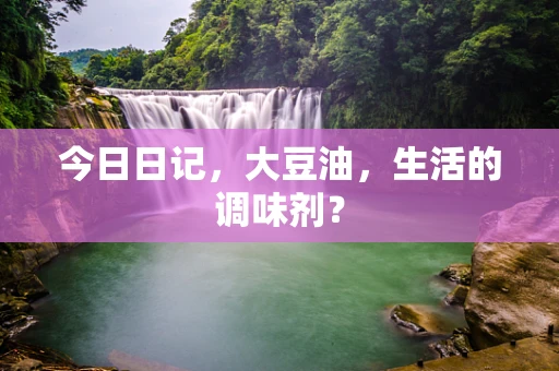 今日日记，大豆油，生活的调味剂？