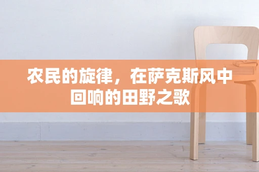 农民的旋律，在萨克斯风中回响的田野之歌