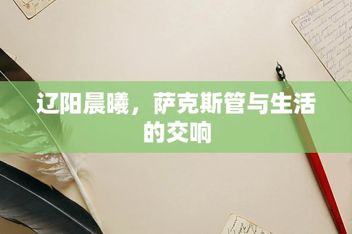 辽阳晨曦，萨克斯管与生活的交响
