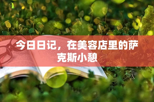 今日日记，在美容店里的萨克斯小憩