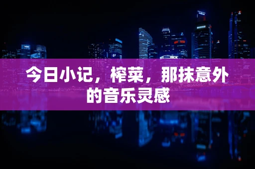 今日小记，榨菜，那抹意外的音乐灵感