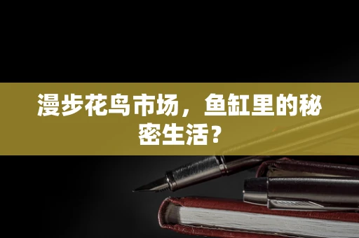 漫步花鸟市场，鱼缸里的秘密生活？