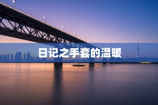 日记之手套的温暖