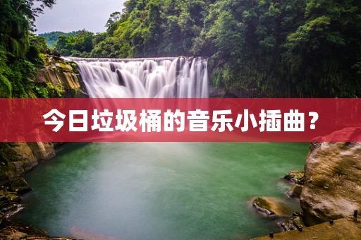 今日垃圾桶的音乐小插曲？