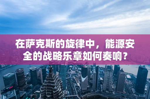 在萨克斯的旋律中，能源安全的战略乐章如何奏响？