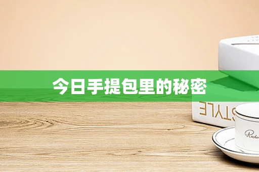 今日手提包里的秘密