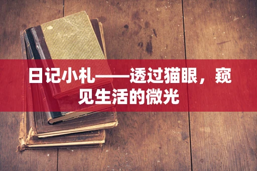 日记小札——透过猫眼，窥见生活的微光