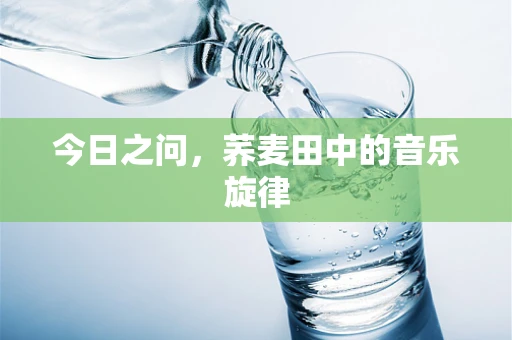 今日之问，荞麦田中的音乐旋律