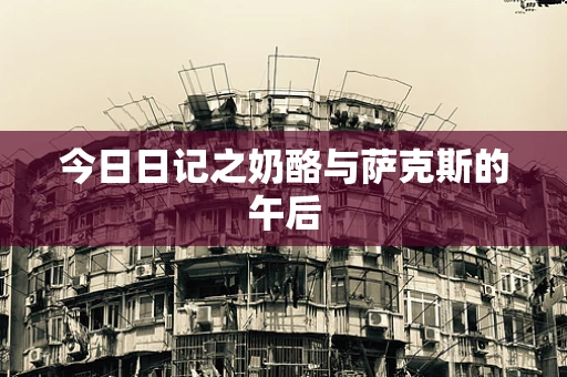 今日日记之奶酪与萨克斯的午后