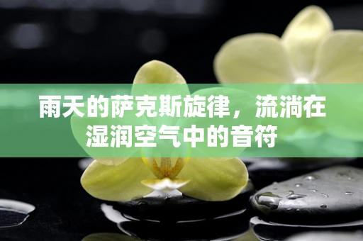 雨天的萨克斯旋律，流淌在湿润空气中的音符