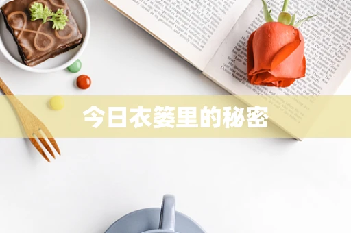 今日衣篓里的秘密